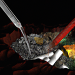 Extracting cobalt from sulphide ores using bioleaching