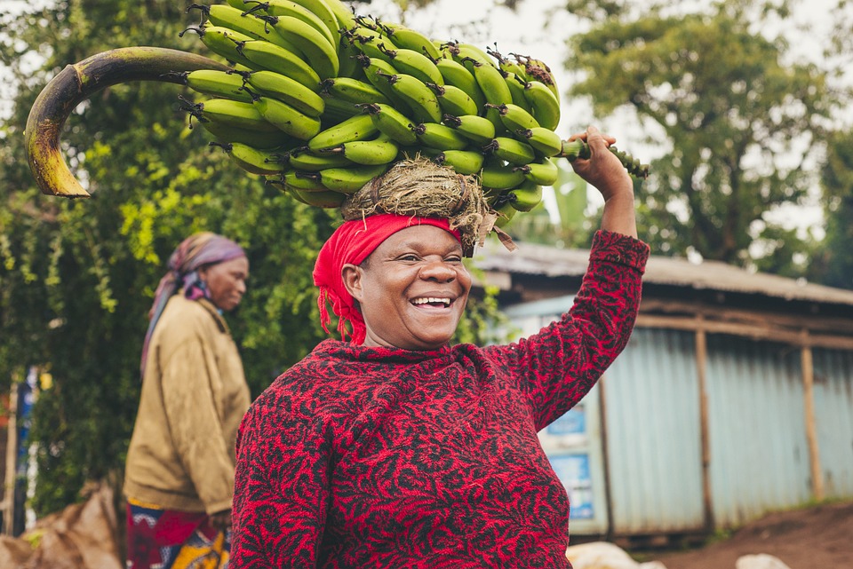 Bananas: A Delightful Treat or a Toxic Bag of Potassium?