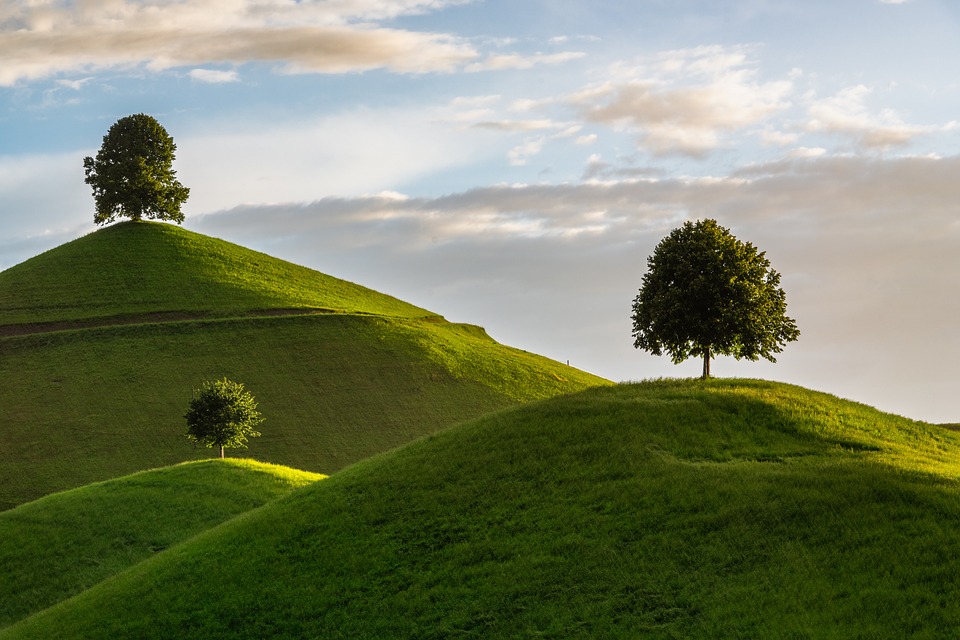 Tree of Life: World’s Biggest and Oldest with a Personal Story to Impress Everyone