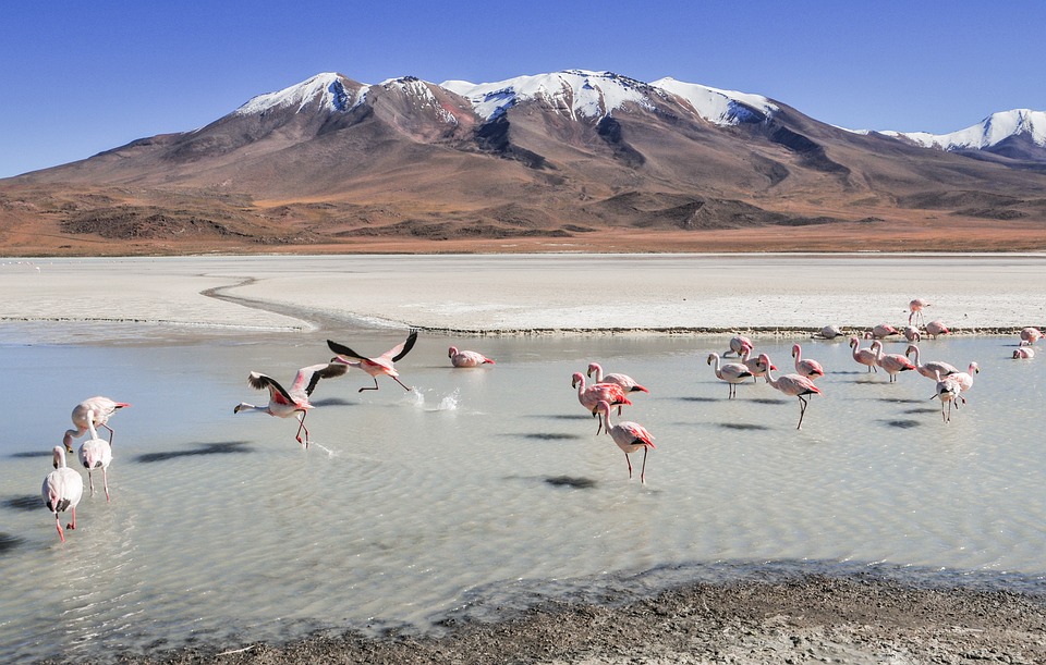 Bolivia’s Mountainous Majesty: Unveiling the Spectacular Landscapes of Salar de Uyuni