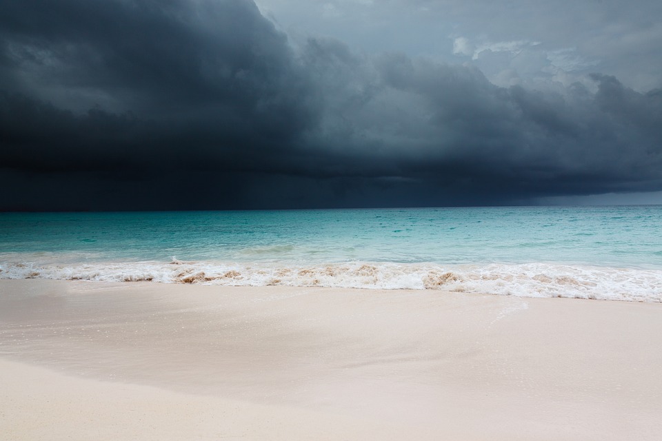 Hurricane Aftermath: The Remarkable Recovery and Resilience of Nature Post-Storm