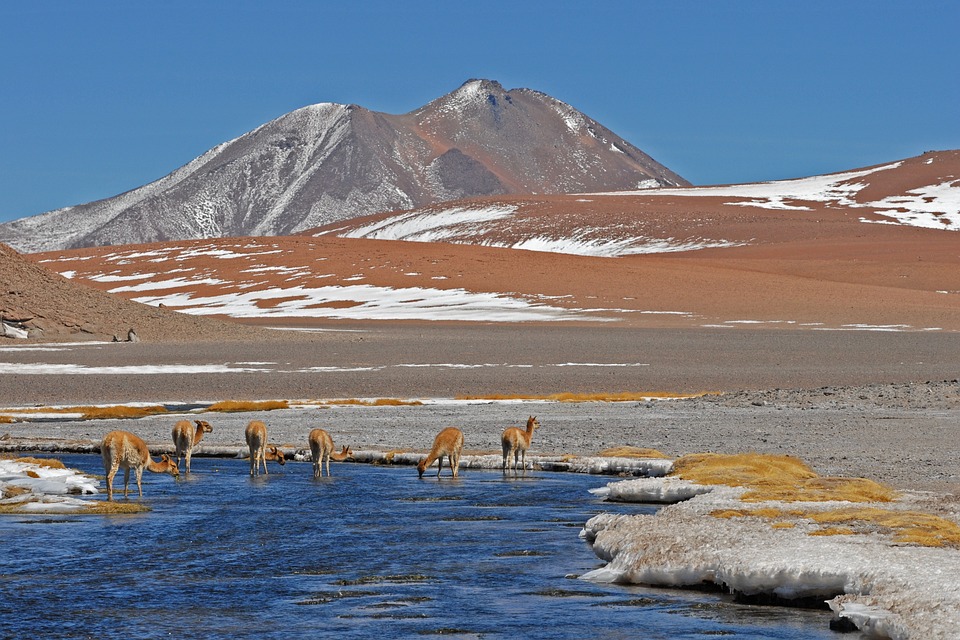 Why Chile is a Paradise for Adventure Seekers: A Look at the Extreme and Unique Experiences