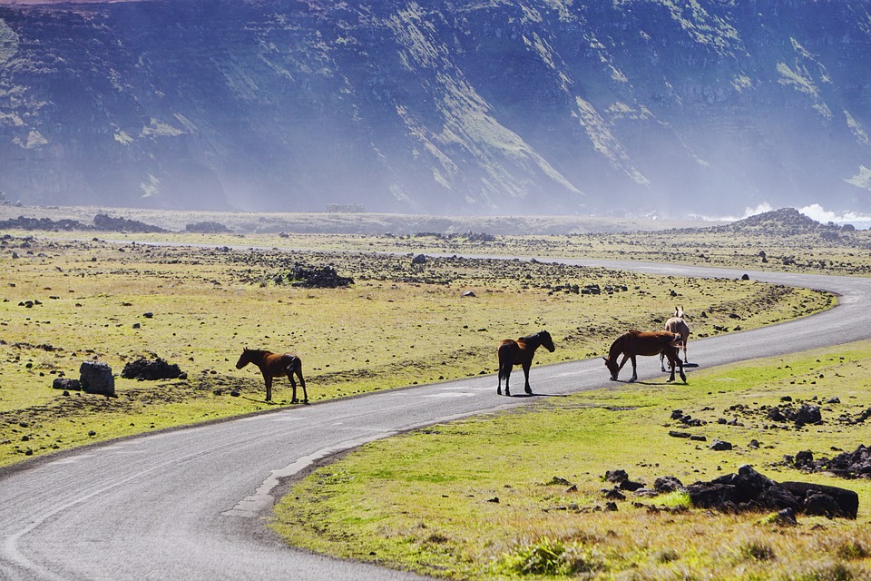 Unearthing Chile’s Geological Wonders: Hidden Gems in the Heart of South America