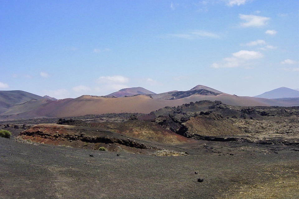 Volcanic Pioneers: How Life Returns to Land Afflicted by Lava.